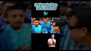 Cuál es el pájaro más educado humor comedia laprevia adivinanza [upl. by Iago]