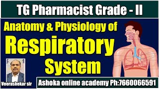 Respiratory system  Anatomy amp physiology  Pharmacist Grade2 Exam  Veera shekar sir [upl. by Onofredo]