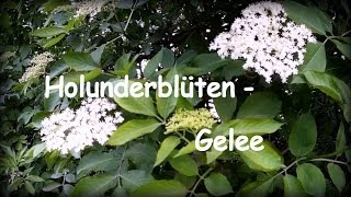 Holunderblüten Gelee aromatisch einzigartig lecker verführerisch [upl. by Irahc]