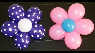 Balloon Flower [upl. by Cutty420]