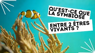 Questce que la symbiose entre 2 êtres vivants [upl. by Thgiled]