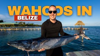 Wahoo Fishing amp Swimming with Sperm Whales  BELIZE [upl. by Desberg]