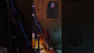 Watch live jazz performance Fresia Sings and Seth Darby plays doublebass jazzsinger jazz live [upl. by Annair]