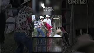 CABALISTICO DE APATLACO VS FELINO jaripeodeepoca [upl. by Anihs]