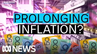 Why the government subsidies are making it harder for the RBA to lower inflation  The Business [upl. by Atilamrac]