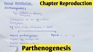 Parthenogenesis  Haploid Parthenogenesis  Diploid Parthenogenesis  Class 12 In Hindi Urdu [upl. by Kiraa]