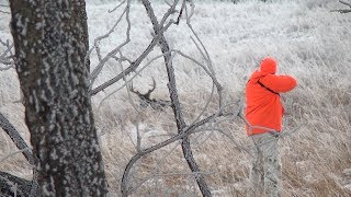 Saskatchewan Whitetail hunt [upl. by Nilyahs355]