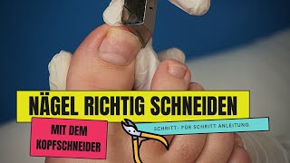 ZEHENNÄGEL SCHNEIDEN mit dem Kopfschneider  so geht es  So schneidest du FUSSNÄGEL richtig [upl. by Lesya]