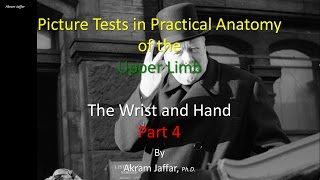 Picture Test in upper limb Anatomy Wrist and Hand 4 [upl. by Tiras]