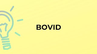 What is the meaning of the word BOVID [upl. by Illil]