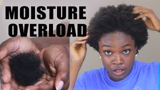 RUINING MY HAIR MOISTURE OVERLOAD HYGRAL FATIGUE EXPLAINED [upl. by Sherl]