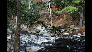 McMasters Falls video of pictures Oct 29th 2023 [upl. by Nyrat]