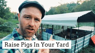 How to Raise 2 Pigs in a Tiny Backyard 10’X20’ [upl. by Shank]