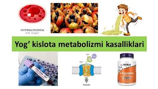 Yog kislota metabolizmi kasalliklari [upl. by Sigler]