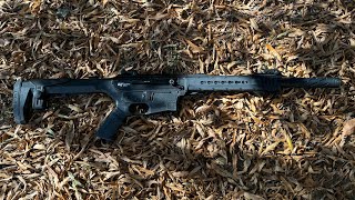 G Force GF25 Is this budget friendly mag fed 12 gauge actually reliable [upl. by Florine]