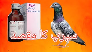 Flagyl Syrup Ka Faiyda [upl. by Philis236]