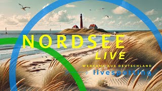 Die besten Webcams an der Nordsee Live entlang der Küste von Borkum bis Sylt [upl. by Salis790]