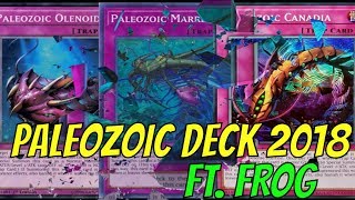 YGOPRO PALEOZOIC LINK FORMAT DECK 102018  WITH FROG [upl. by Fabrin6]