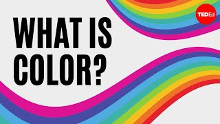 What is color  Colm Kelleher [upl. by Yemrots]