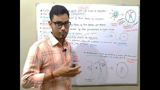 Coelom Types and Formation [upl. by Landre]