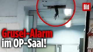 GruselAlarm im Krankenhaus Was hängt denn da von der Decke [upl. by Rosalie290]