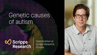 Genetic causes of autism neuroscience at Scripps Research Florida [upl. by Eecyaj187]