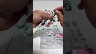 Unboxing Polynian Roze anime animetoys polynian monaschinas japantoys japananime unboxing [upl. by Yreved]