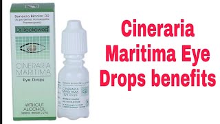 Cineraria Maritima Eye Drops benefits [upl. by Fretwell]