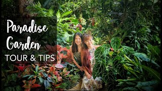 SUPER LUSH Tropical Garden TOUR amp 12 Plant Care Tips with Junie Lee 1000 plants [upl. by Mount518]