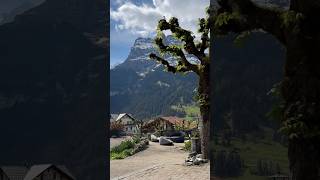 Switzerland Reel 33  Hotel Belvedere Grindelwald Switzerland  The view is stunning [upl. by Herrah]