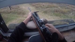 DEER HUNTING with RIFLE MENTORED YOUTH HUNT [upl. by Heida]