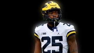 Hassan Haskins 2021 Michigan Wolverines Highlights ᴴᴰ [upl. by Emyaj]