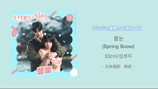 【ソンジェ背負って走れOST】 日本語訳・和訳 봄눈Spring Snow  10cm십센치 [upl. by Harrad]