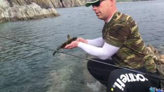 HOW TO CATCH WRASSE ON LURES 💥💥💥 [upl. by O'Rourke638]