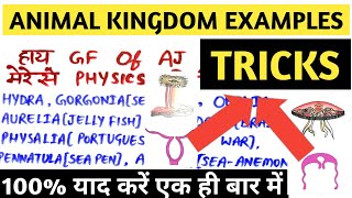 Trick to Learn Animal Kingdom Examples For NEET [upl. by Alorac]