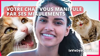 VOTRE CHAT VOUS MANIPULE PAR SES MIAULEMENTS JE VOUS EXPLIQUE [upl. by Hairabez]