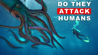 Do Giant Squid Attack Humans [upl. by Ocsecnarf]