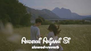 Andekhi Anjani Si  Lofi Remix  Chill amp Relax  Sad Love Vibes  Lofi Beats to StudyRelax [upl. by Arbmik624]