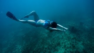 Freediving in Bayahibe Dominican Republic [upl. by Yedarb328]