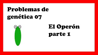 OPERÓN lac control positivo y negativo explicación completa operon lactosa y triptofano [upl. by Isidoro]