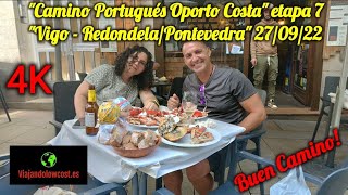 Camino portugués Oporto costaquot etapa 7 quotVigo  RedondelaPontevedraquot 270922 Buen Camino 😉💪❤️🤗 [upl. by Catlin]