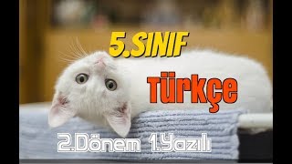 5Sınıf Türkçe 2Dönem 1Yazılı Soruları ve Çözümü [upl. by Shiverick]