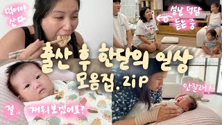 vlog🇦🇺 회복하랴 애기보랴 알차게 보낸 출산 후 한달의 일상 모음zip [upl. by Gabel]