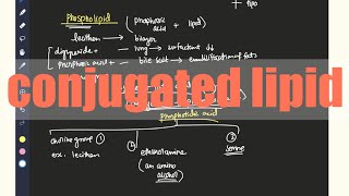 Conjugated lipids PHOSPHOlipids  Glycolipids chromolipids lipopipids Detailed structure Hindi [upl. by Twedy]