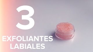 Exfoliantes labiales  DIY [upl. by Alleul160]