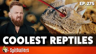 The Finest French Worms amp The Coolest Reptiles  Episode 275  Spitballers Comedy Show [upl. by Nonna]