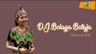 lagu dayak Dj Bolaga botaja [upl. by Ermanno135]