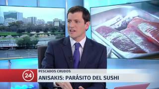 Anisakis Consejos y recomendaciones para evitar la enfermedad del sushi  24 Horas TVN Chile [upl. by Anavi]