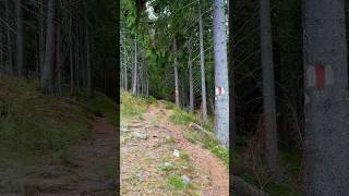 Bucovina peisaje care îți taie respirația  🌲bucovina romania romaniaascunsa satulromanesc [upl. by Chessy]