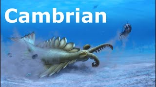 The Cambrian Period Summarized [upl. by Fleurette]